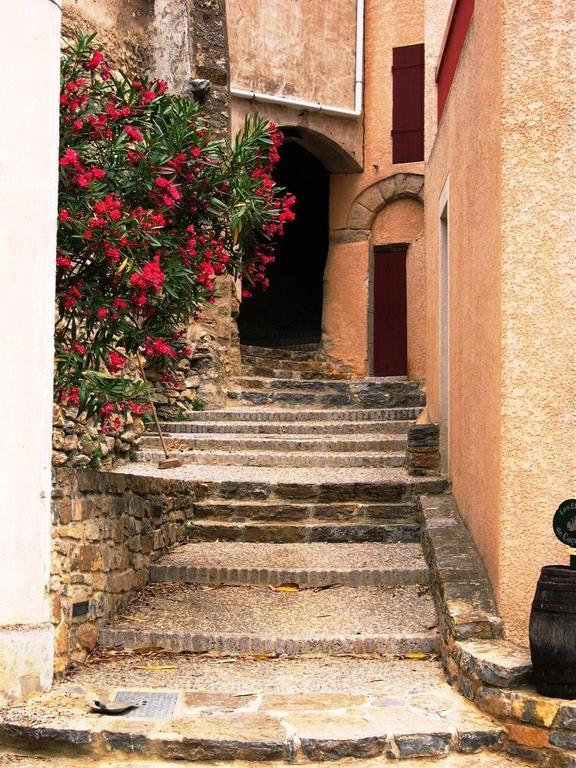 Apartment The Haven Cucugnan Exterior photo